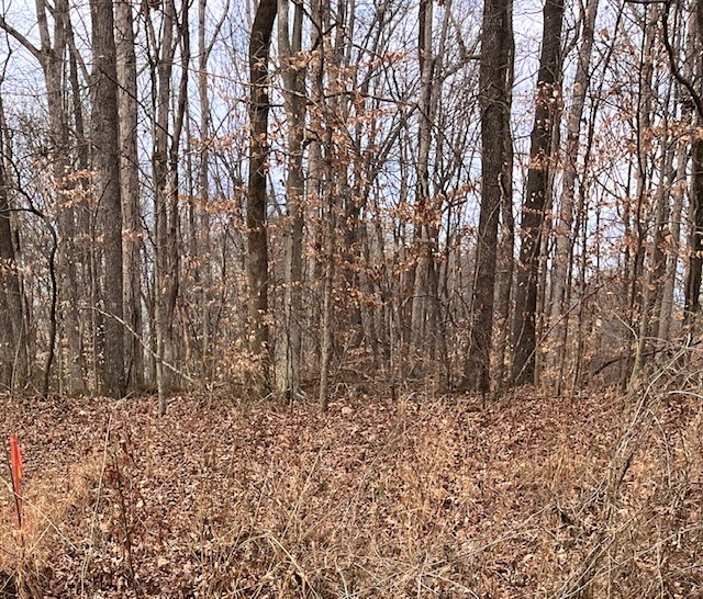 0 Mt Pleasant Road Kingston Springs, TN 37082 - Photo 8 of 9 a view of covered with snow