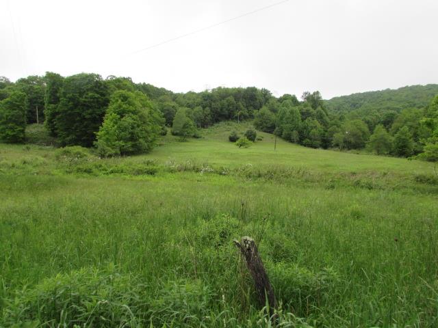 Tbd Flat Ridge Road Troutdale, VA 24378 - Photo 1 of 26 Gallery Image 1