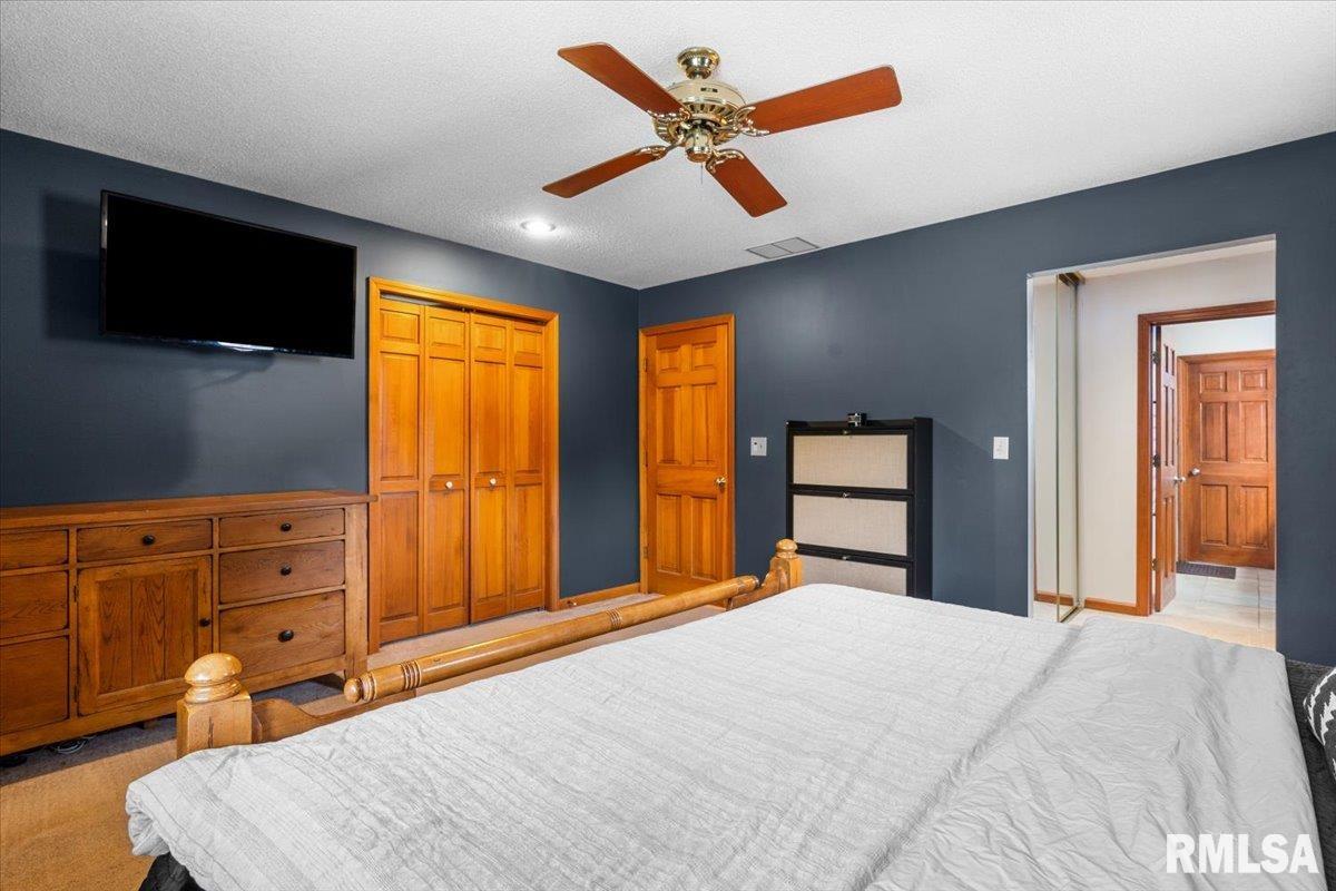 171 Roanoke Drive Rochester, IL 62563 - Photo 28 of 47 Gallery Image 28