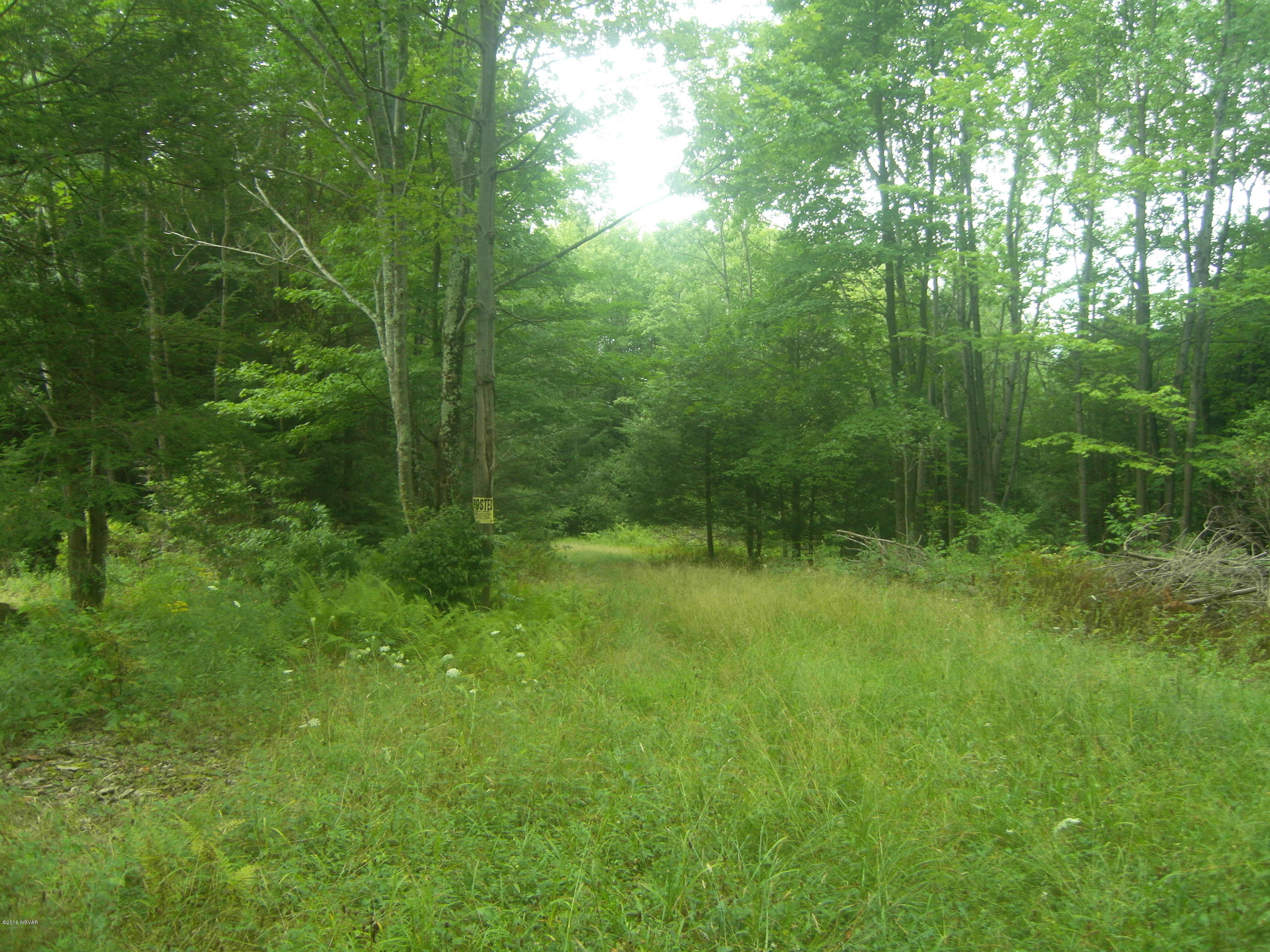 0 Old Farm Road Muncy Valley, PA 17758 - Photo 6 of 12 SDC14560