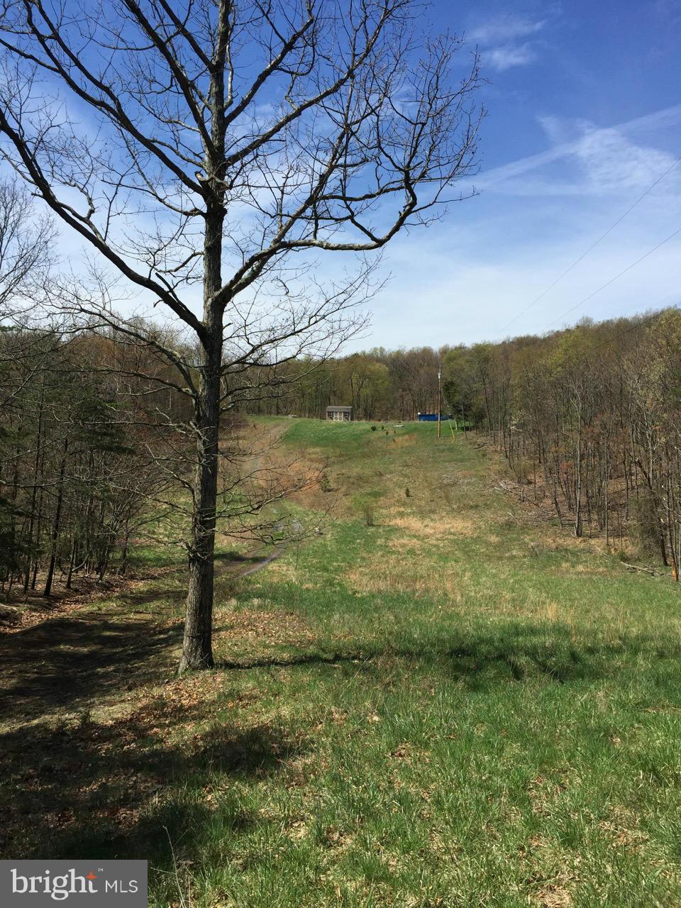 831 Knob Road Gore, VA 22637 - Photo 1 of 21 Exterior (Front)