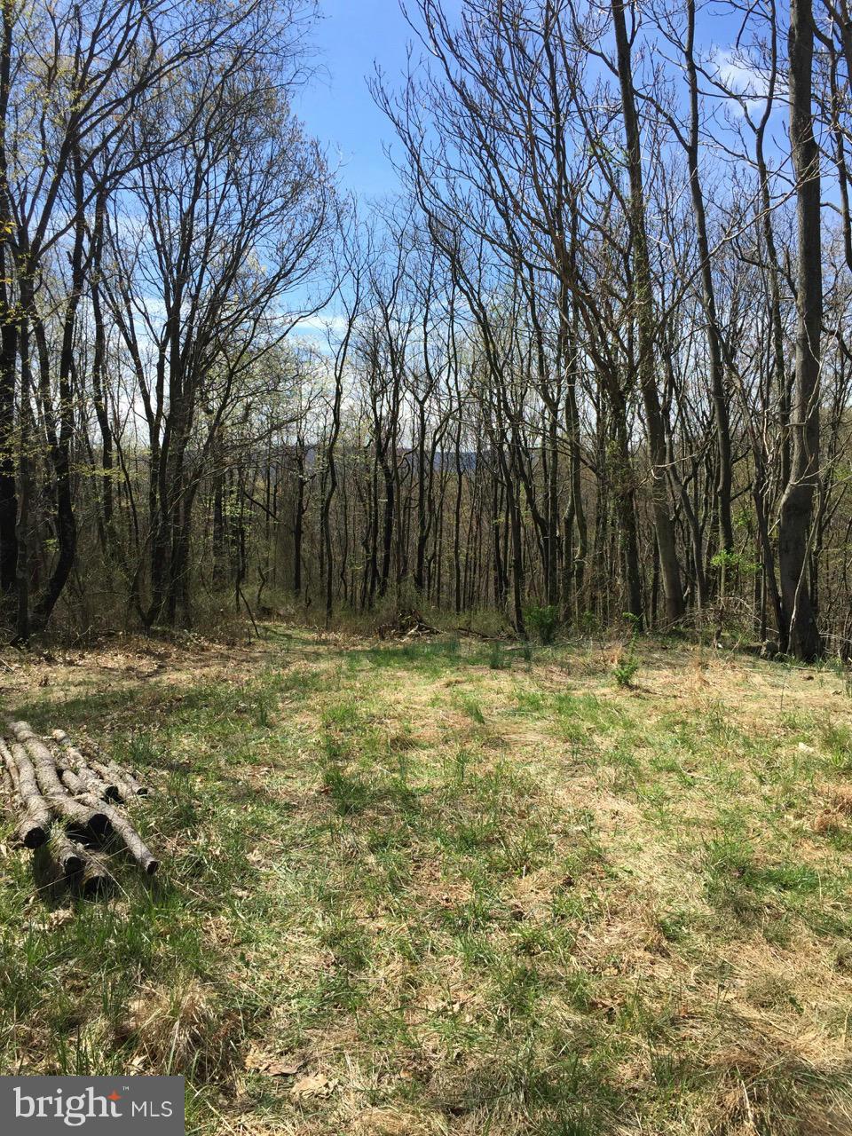 831 Knob Road Gore, VA 22637 - Photo 11 of 21 Exterior (General)