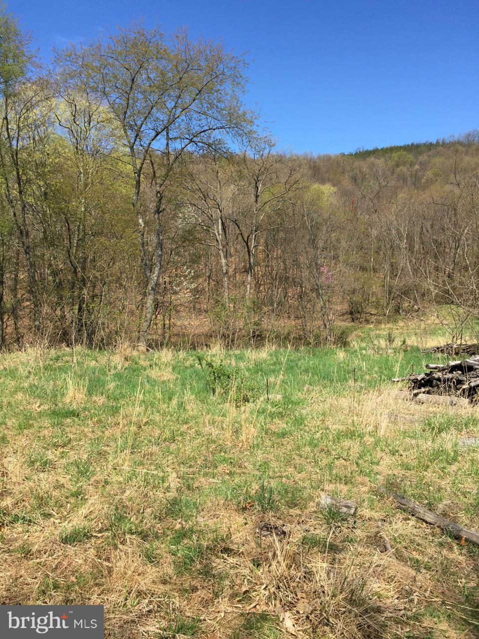 831 Knob Road Gore, VA 22637 - Photo 13 of 21 Exterior (General)