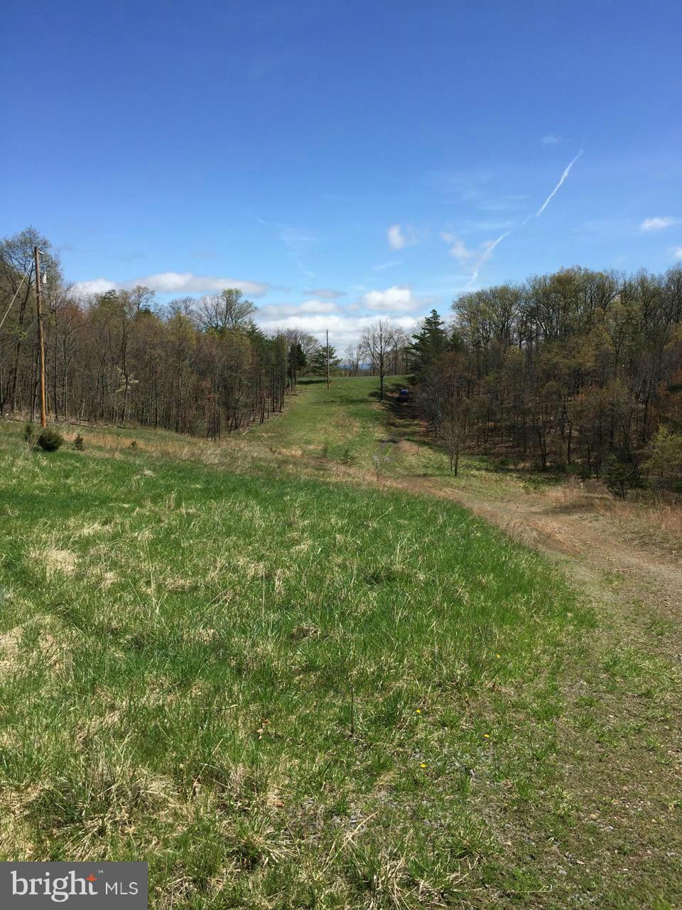 831 Knob Road Gore, VA 22637 - Photo 20 of 21 Exterior (General)