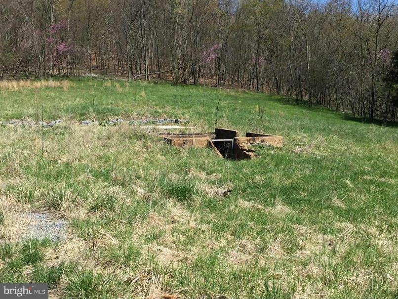 831 Knob Road Gore, VA 22637 - Photo 21 of 21 old farm house foundation