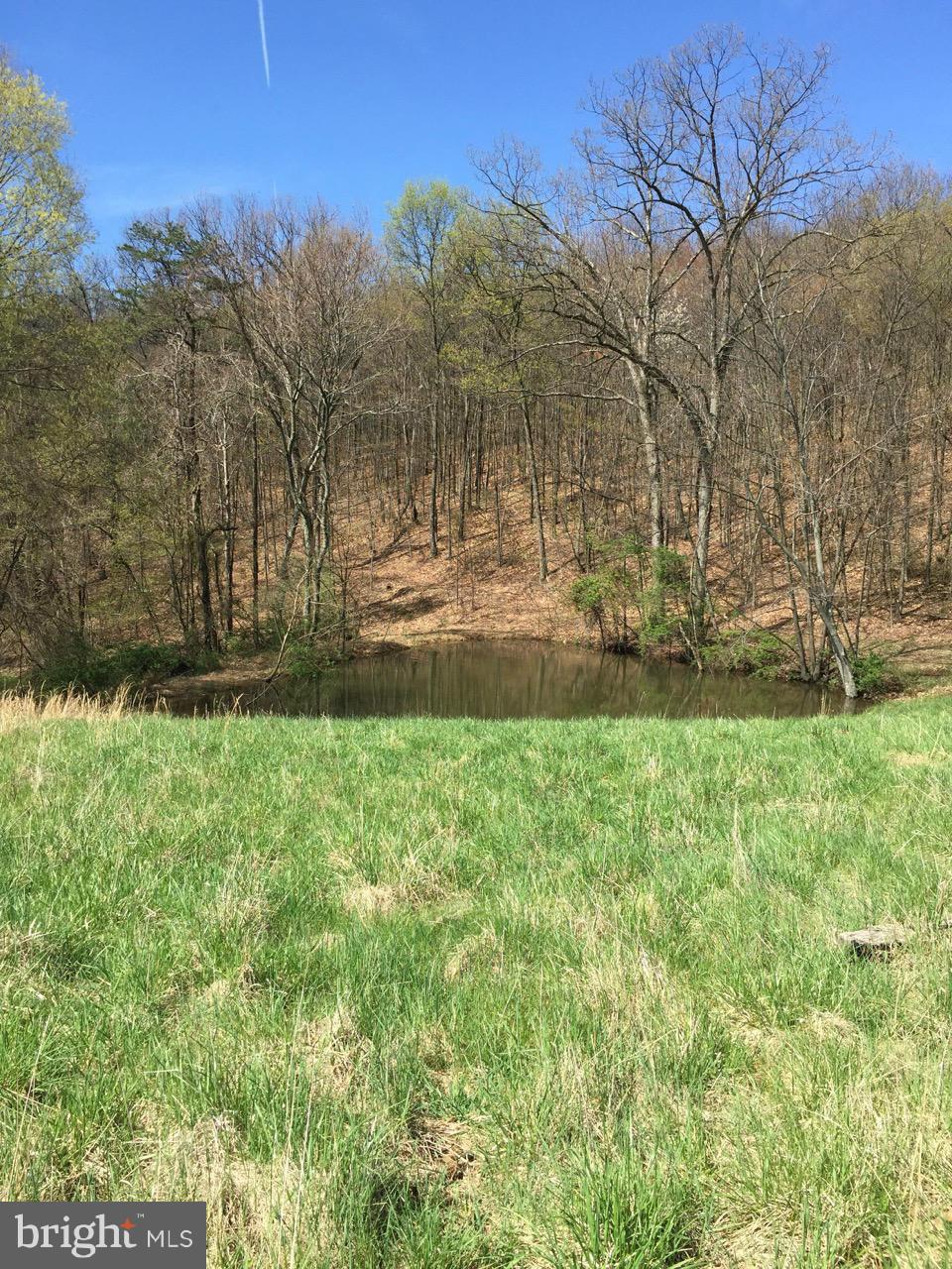 831 Knob Road Gore, VA 22637 - Photo 4 of 21 Exterior (General)