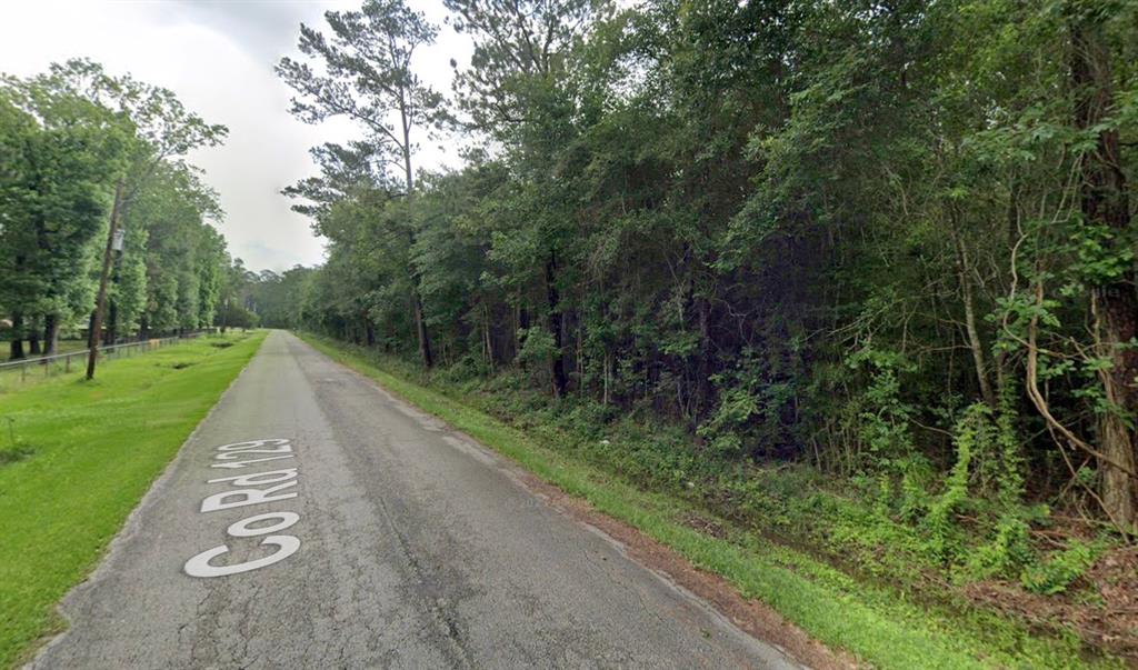 129 County Road 129 Liberty, TX 77575 - Photo 3 of 4 a view of a park with large trees