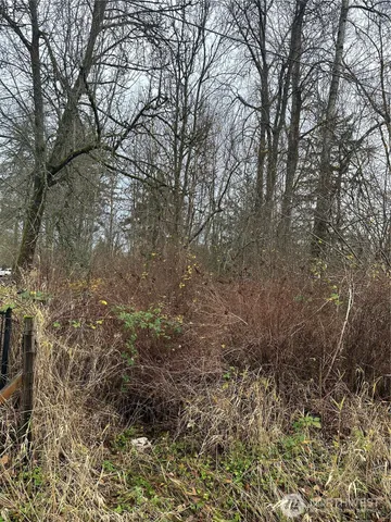 a view of a yard with a trees