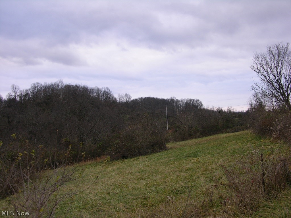 0 Rising Sun Ridge Road Walker, WV 26180 - Photo 3 of 9 Property View