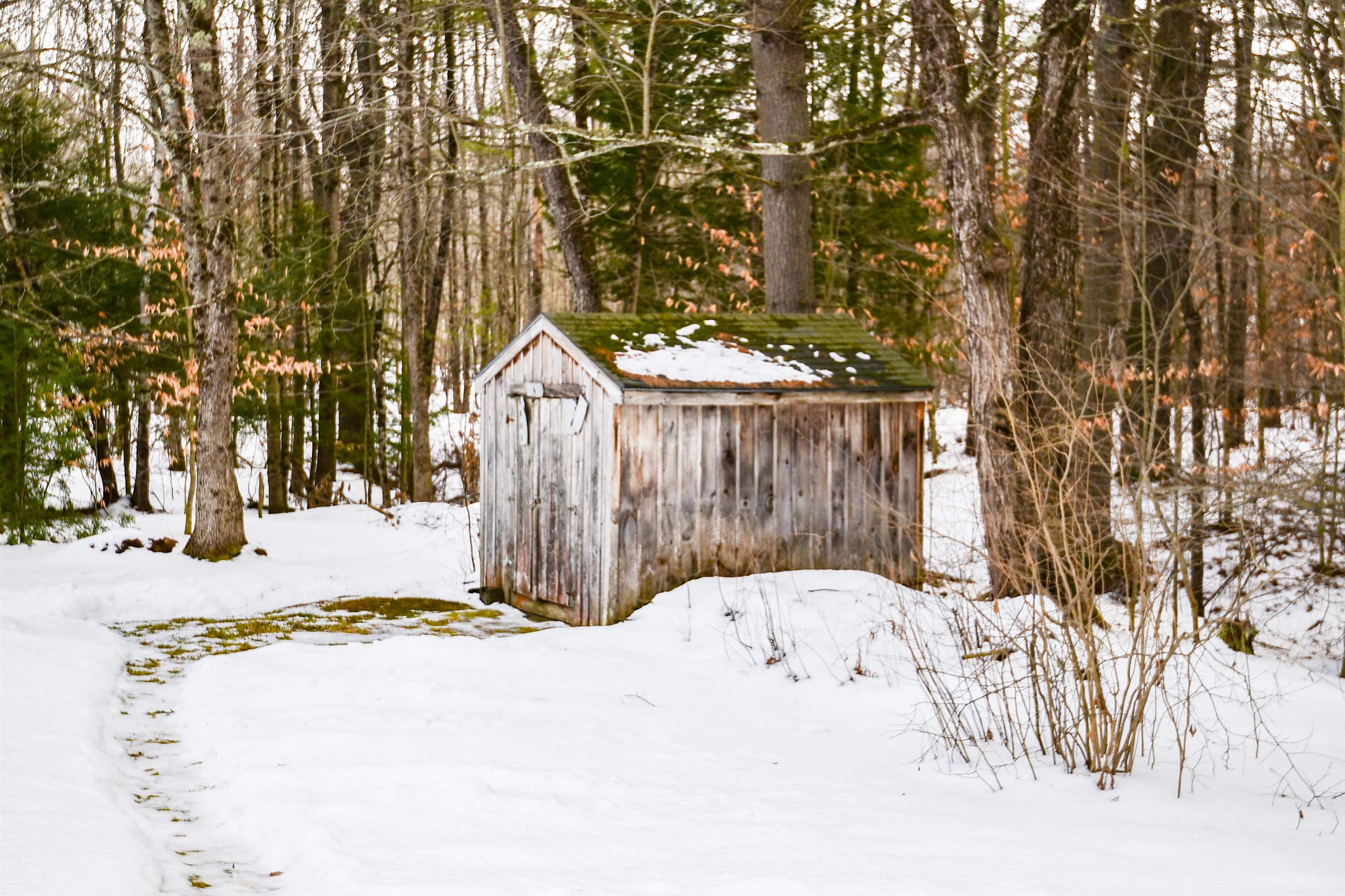 70 Forrest Road Northfield, NH 03276 - Photo 7 of 24