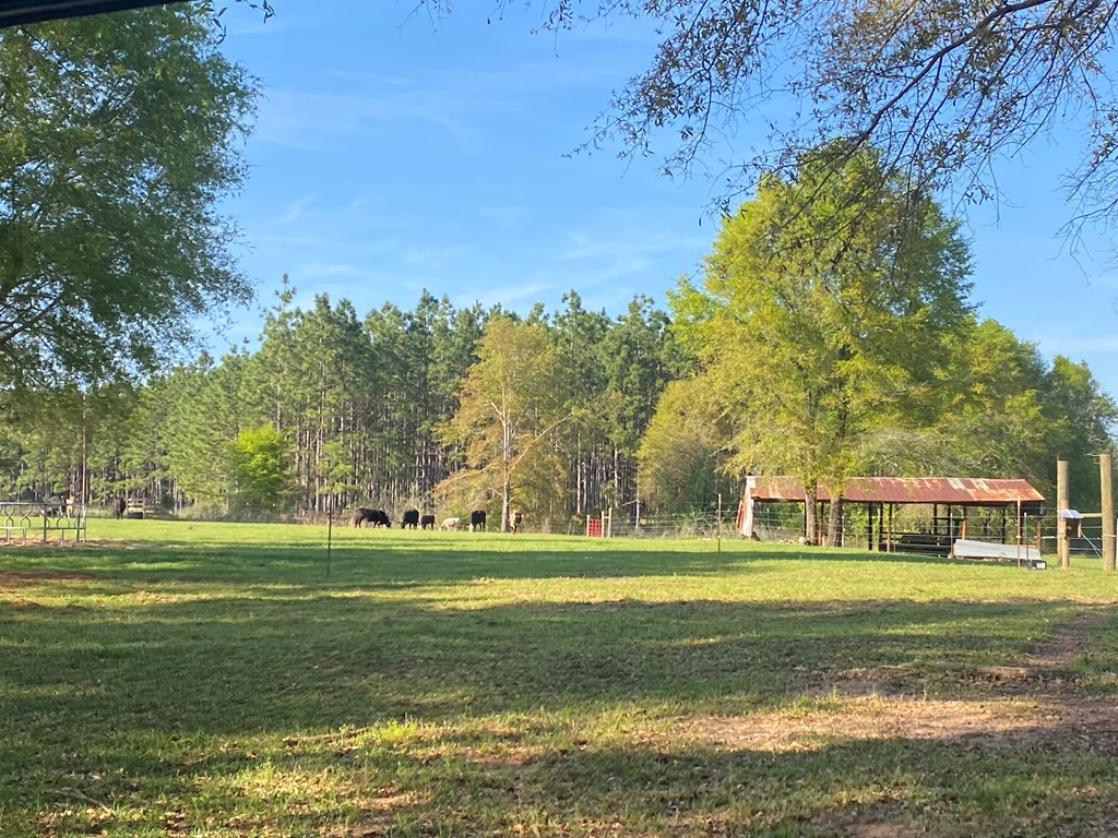 0 Co Road Abbeville, AL 36310 - Photo 42 of 53