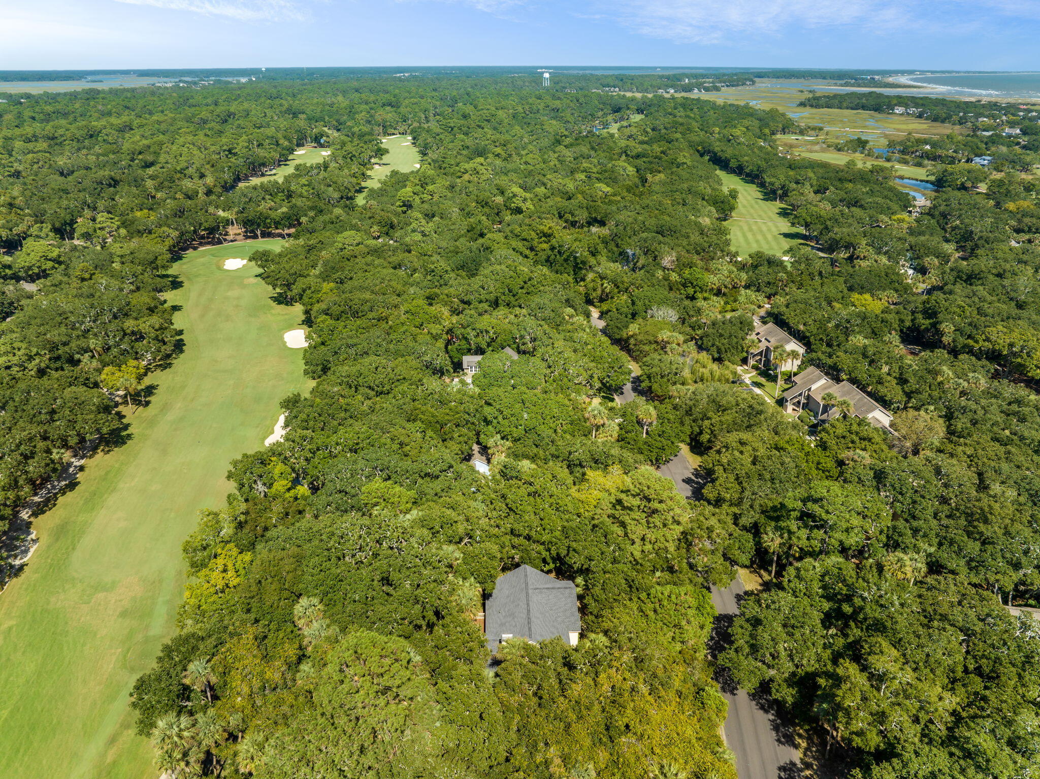2658 High Hammock Road Seabrook Island, SC 29455 - Photo 38 of 55 39-web-or-mls-Coastal Real Estate Photog