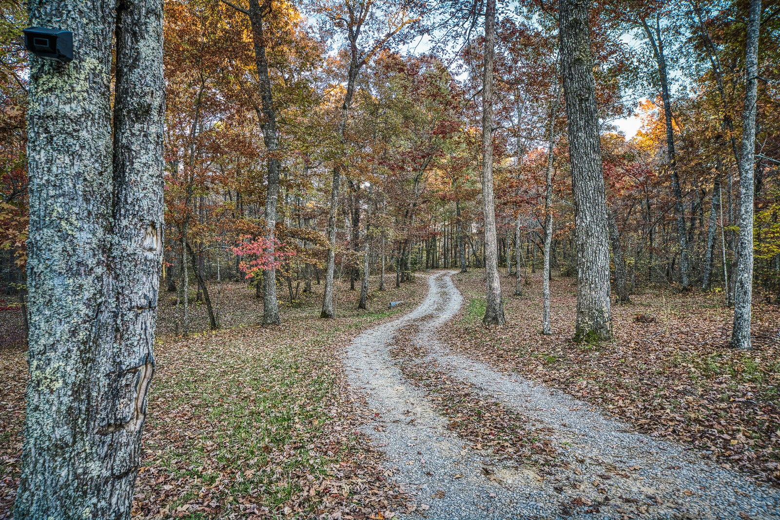 675 Tabletop Road Monterey, TN 38574 - Photo 24 of 39 Gallery Image 24