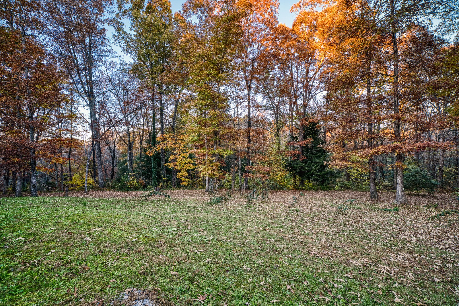 675 Tabletop Road Monterey, TN 38574 - Photo 35 of 39 Gallery Image 35
