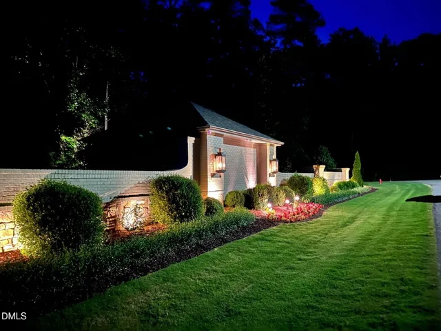 a view of a back yard with plants and large trees