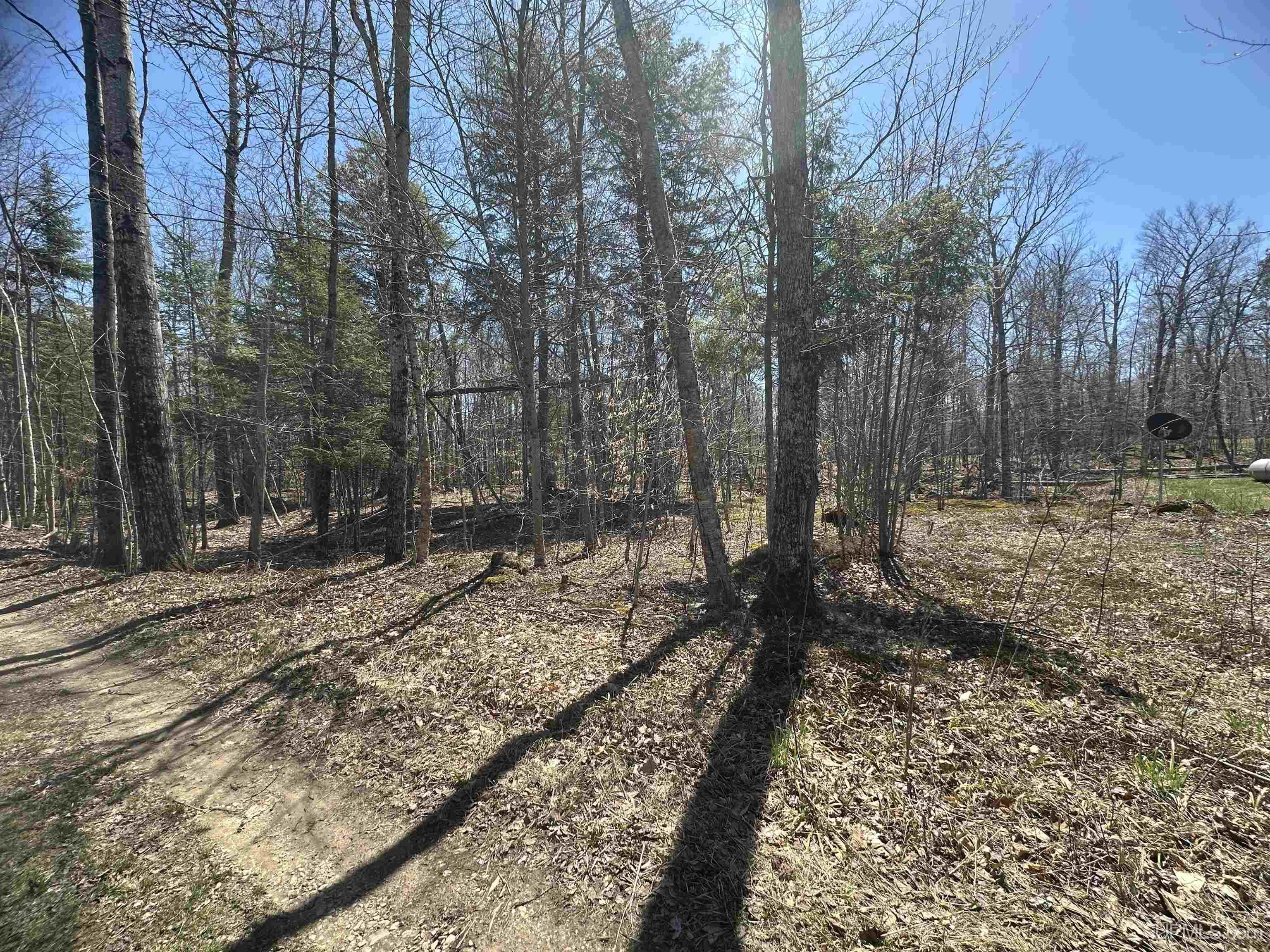 Tbd Tbd Street Manistique, MI 49854 - Photo 1 of 5