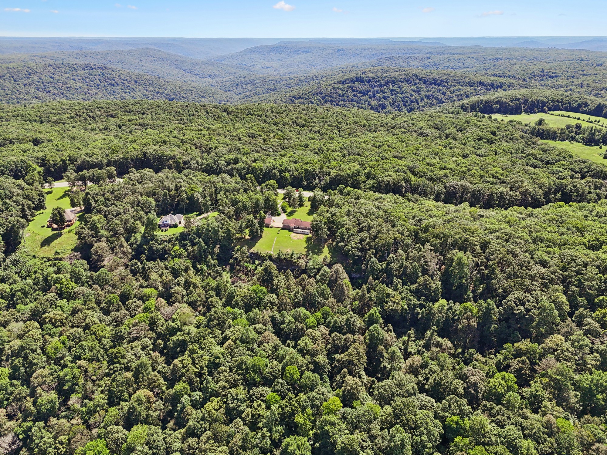7365 Rowe Gap Road Belvidere, TN 37306 - Photo 68 of 78 a view of a green field with lots of bushes