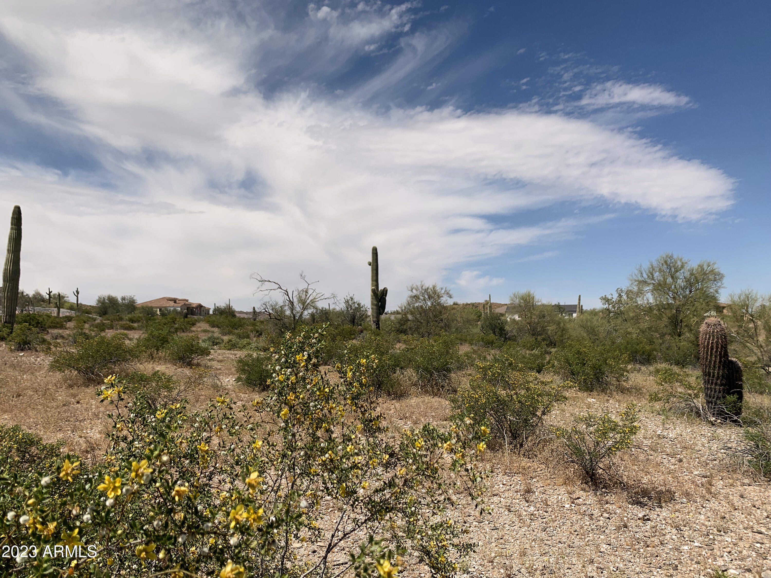 0 West Magma Road Queen Creek, AZ 85144 - Photo 2 of 14 Pristine Desert Vegetation!