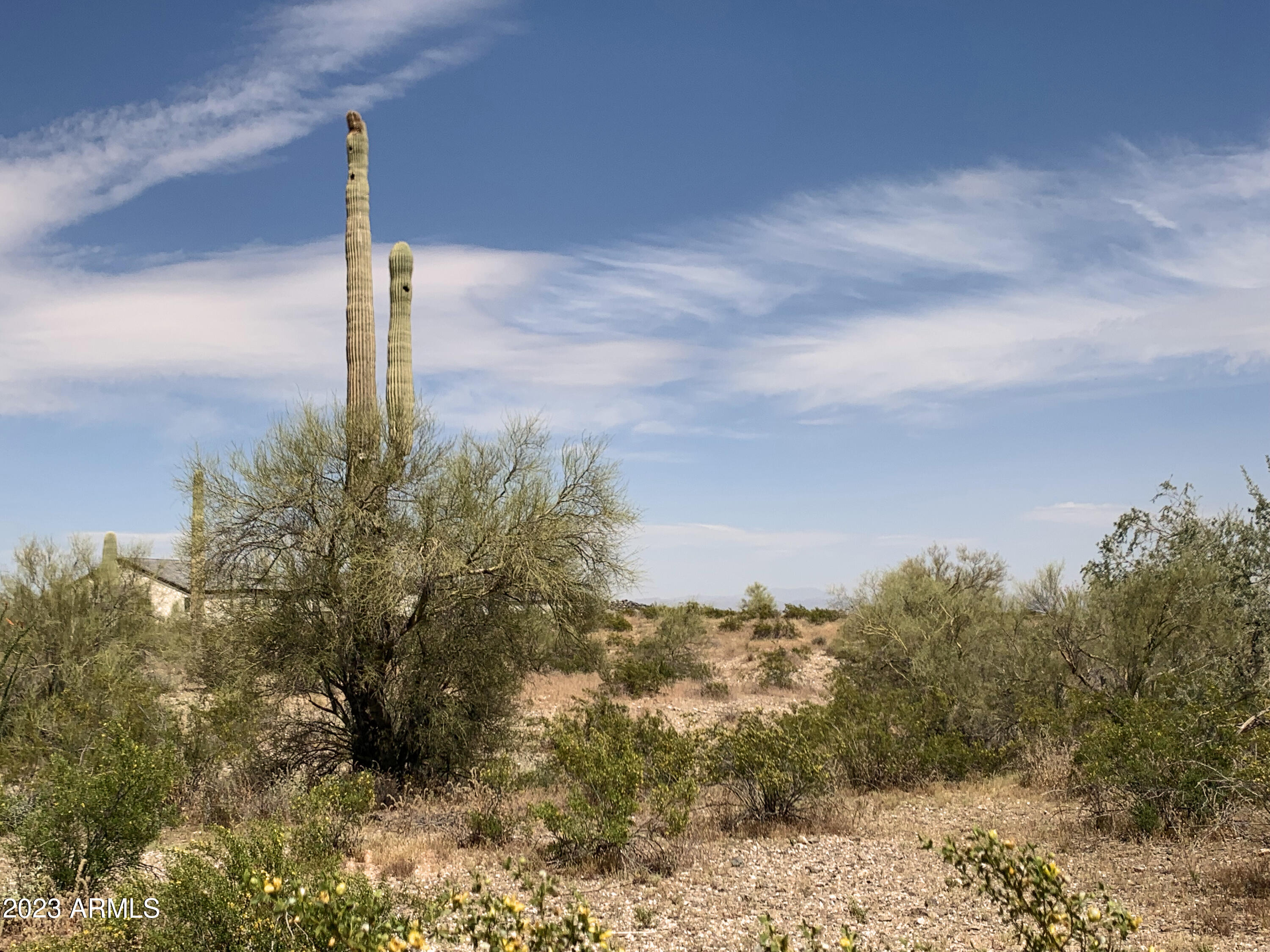 0 West Magma Road Queen Creek, AZ 85144 - Photo 5 of 14 Stately Saguaros!