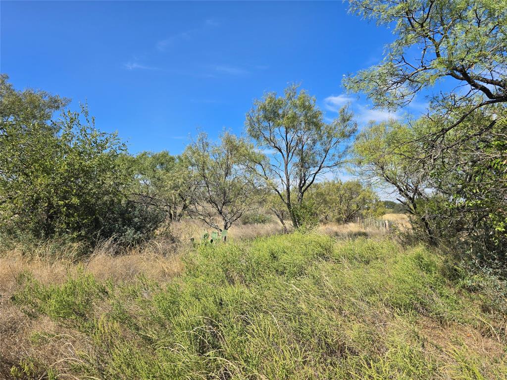 5780 County Road 266 Rochelle, TX 76872 - Photo 9 of 40