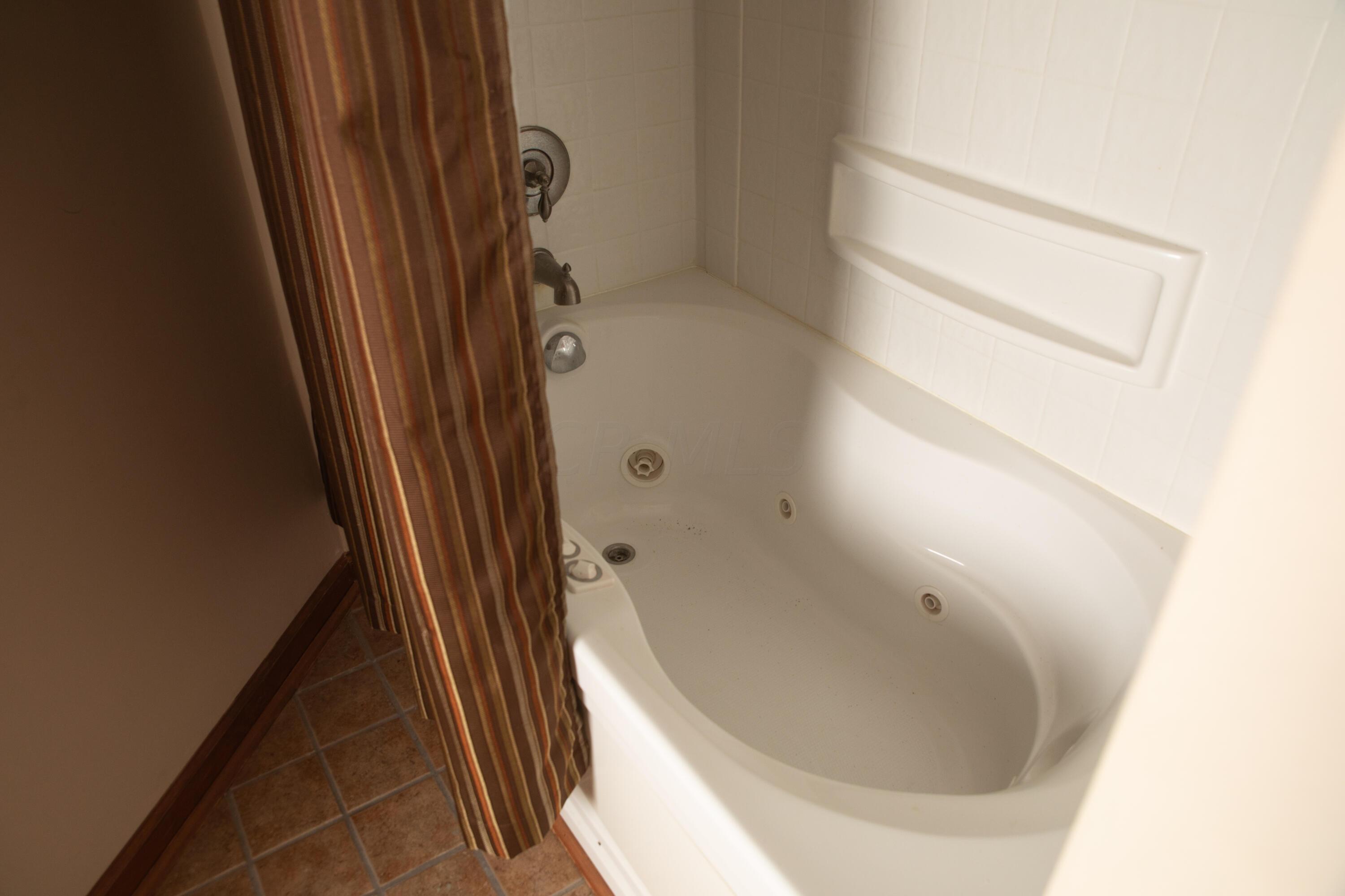 8857 Ringgold Fairfield Road Circleville, OH 43113 - Photo 19 of 36 Downstairs bathroom with Jacuzzi tub