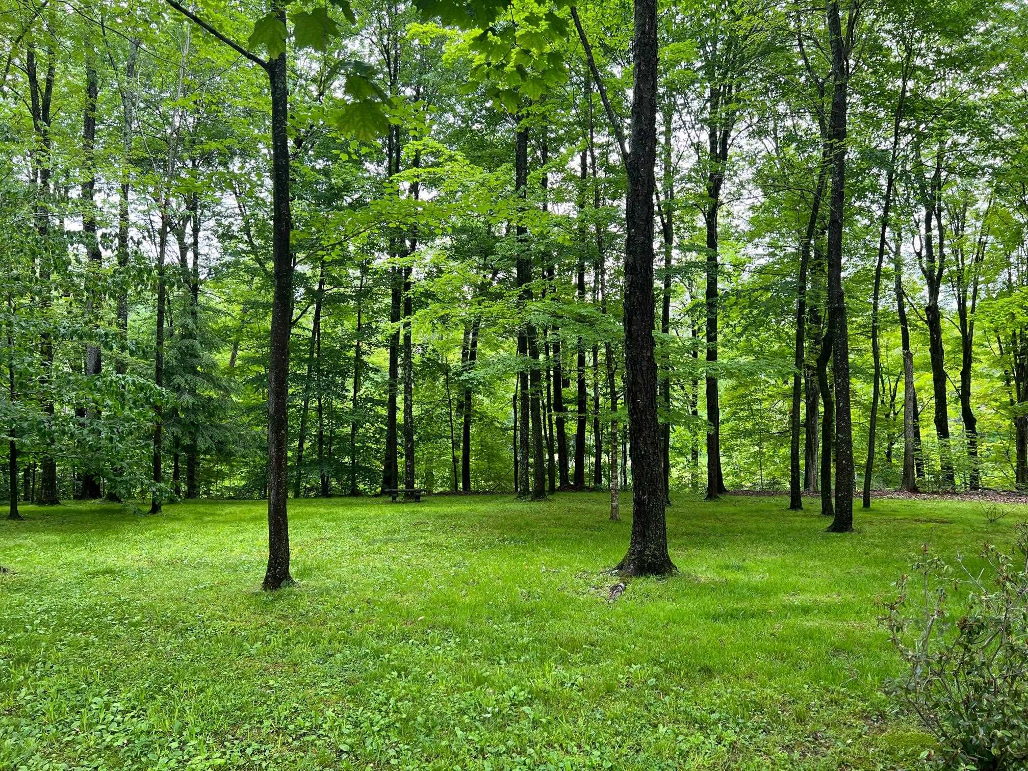 159 Danby Mountain Road Dorset, VT 05251 - Photo 12 of 14 Gallery Image 12