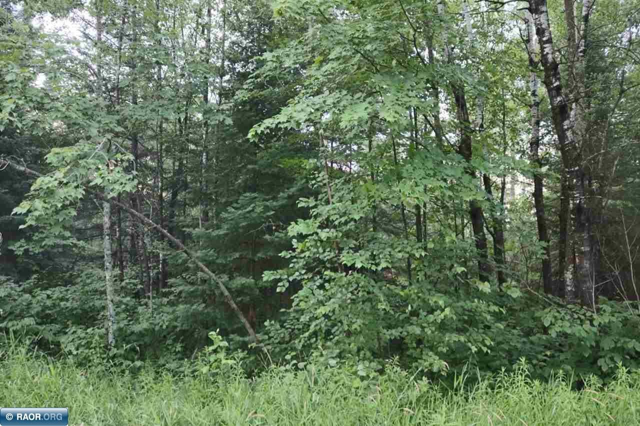 Xxx Scenic Acres Road Aurora, MN 55705 - Photo 11 of 16