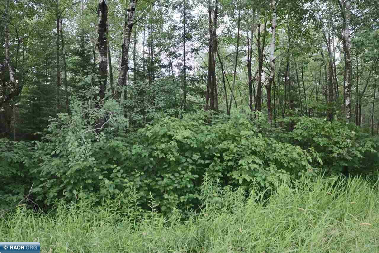 Xxx Scenic Acres Road Aurora, MN 55705 - Photo 12 of 16