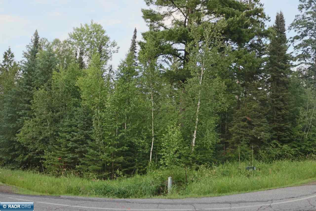 Xxx Scenic Acres Road Aurora, MN 55705 - Photo 2 of 16