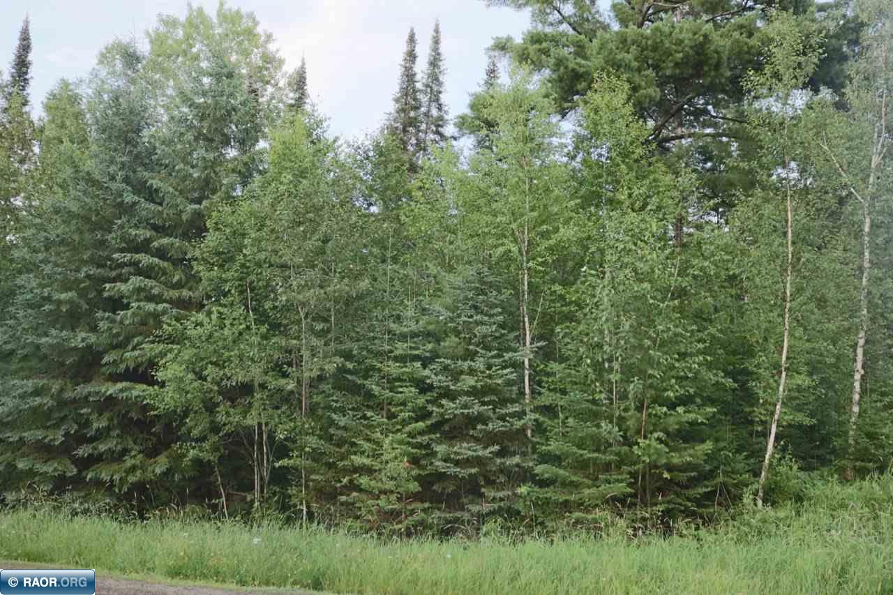 Xxx Scenic Acres Road Aurora, MN 55705 - Photo 3 of 16