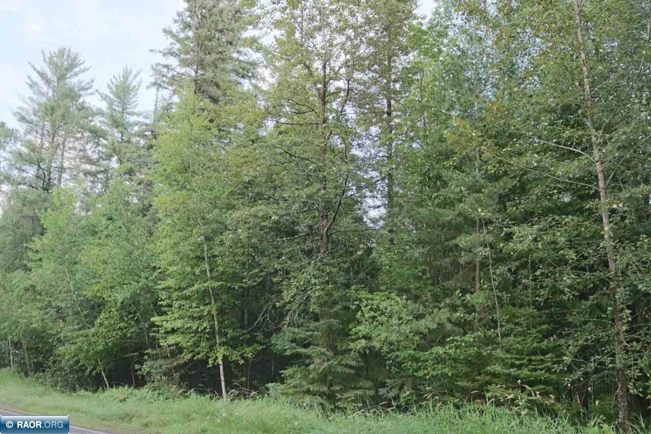 Xxx Scenic Acres Road Aurora, MN 55705 - Photo 4 of 16