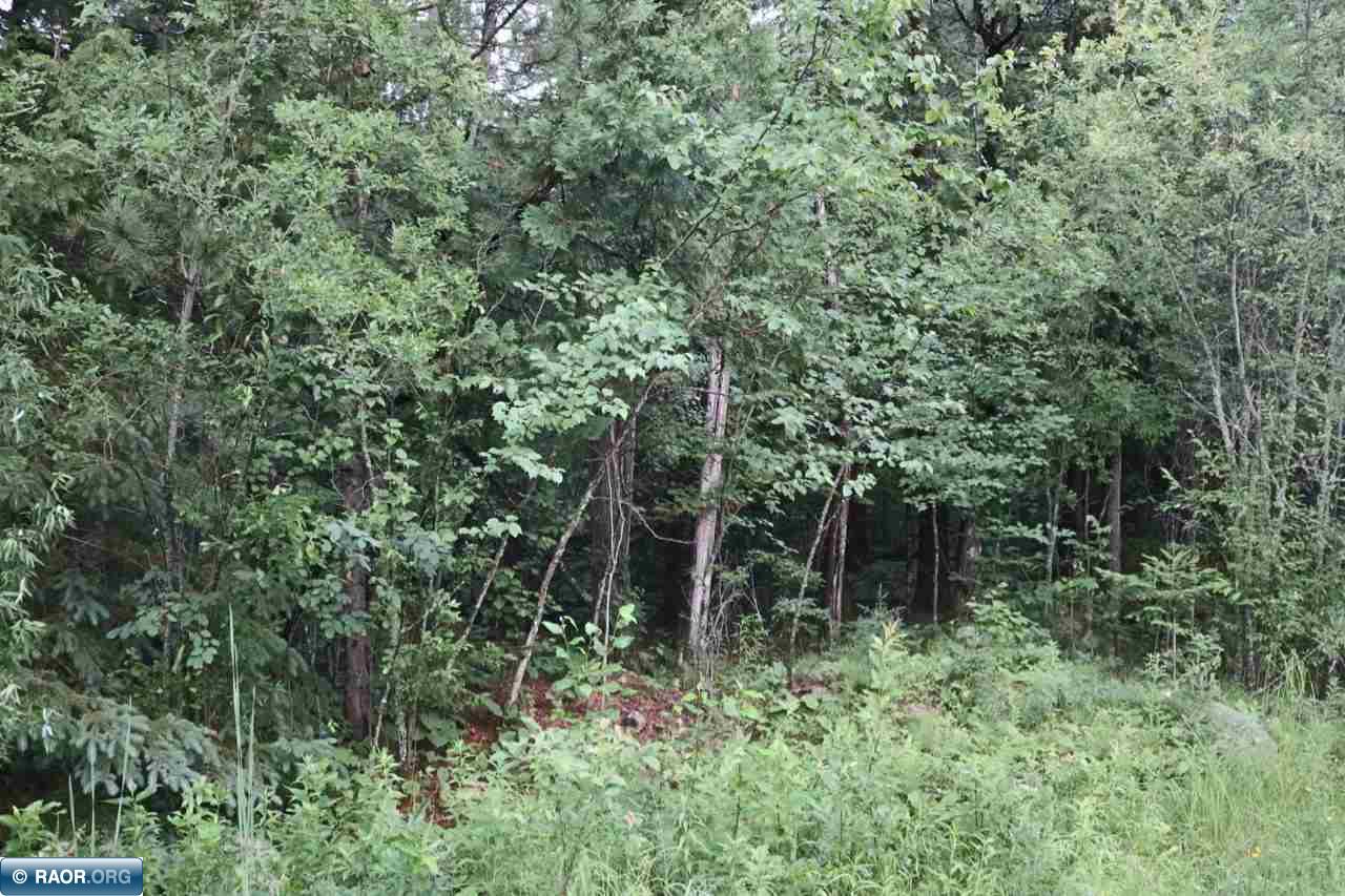 Xxx Scenic Acres Road Aurora, MN 55705 - Photo 6 of 16