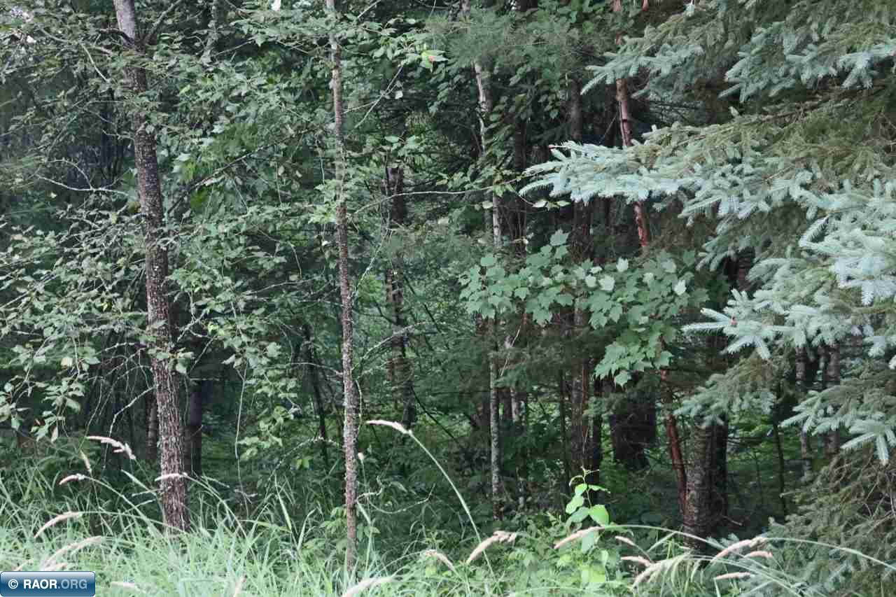 Xxx Scenic Acres Road Aurora, MN 55705 - Photo 7 of 16