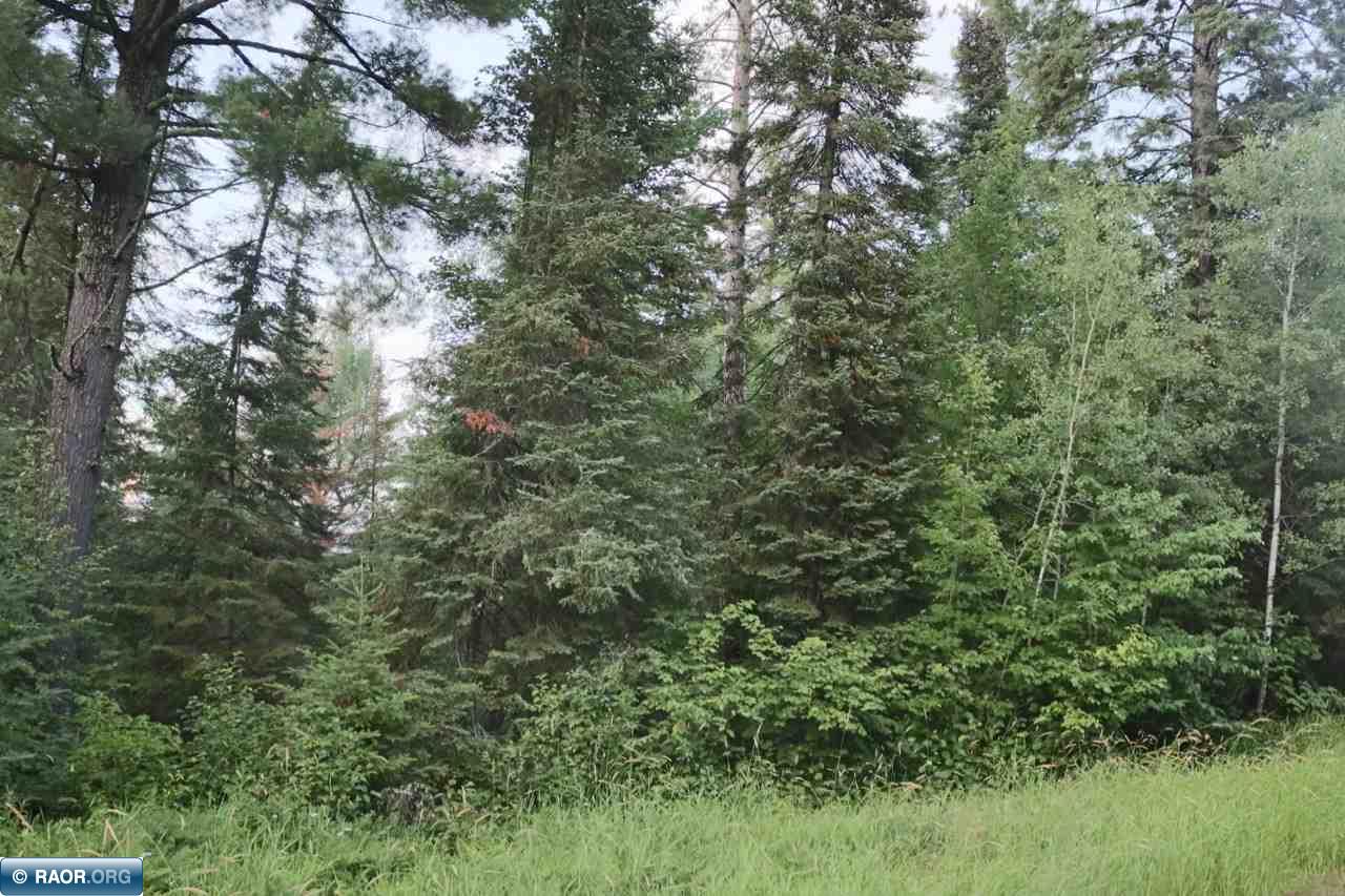 Xxx Scenic Acres Road Aurora, MN 55705 - Photo 8 of 16