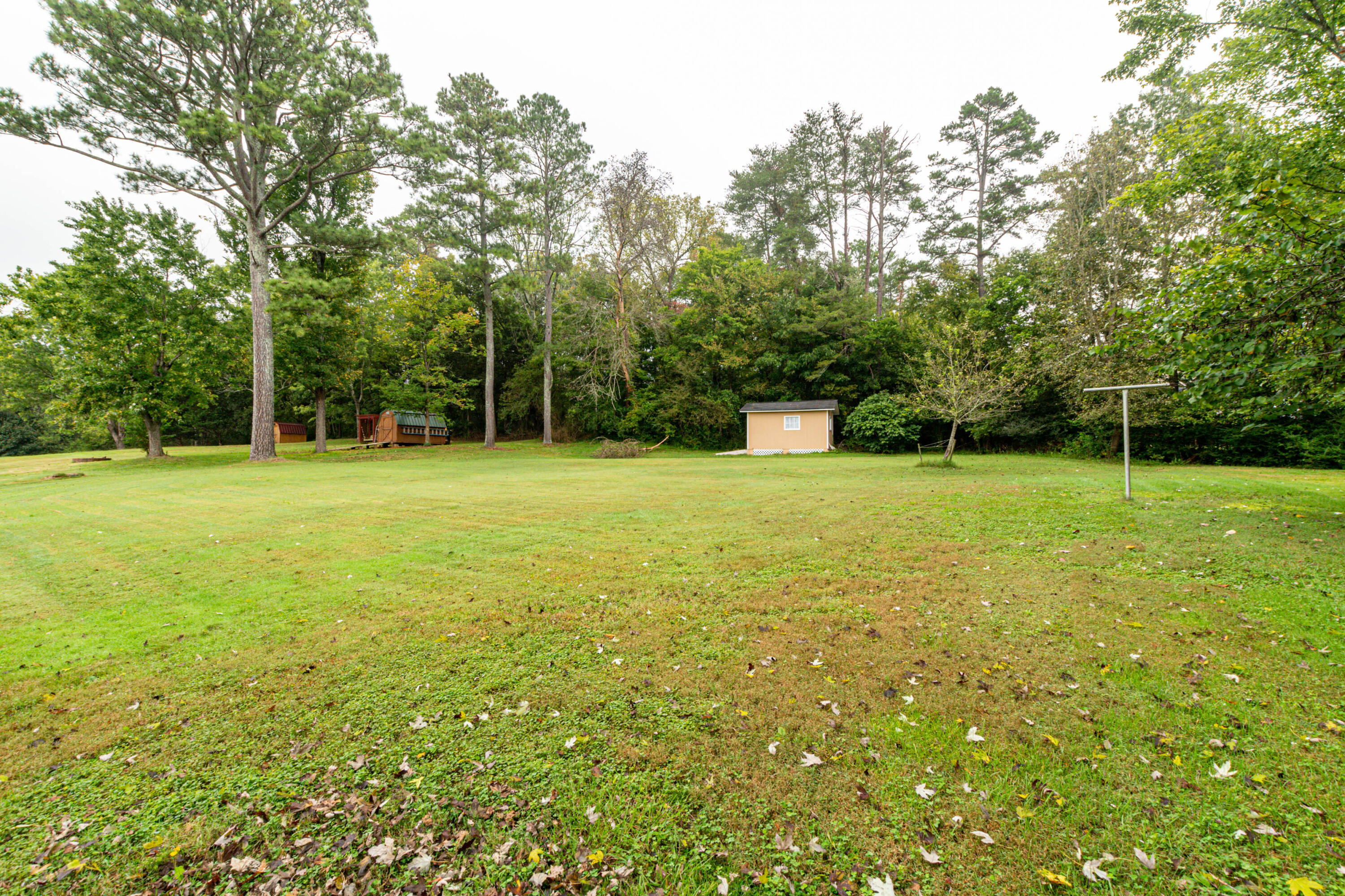 3343 Adkins Road Chattanooga, TN 37419 - Photo 23 of 25 3343 Adkins Rd-23