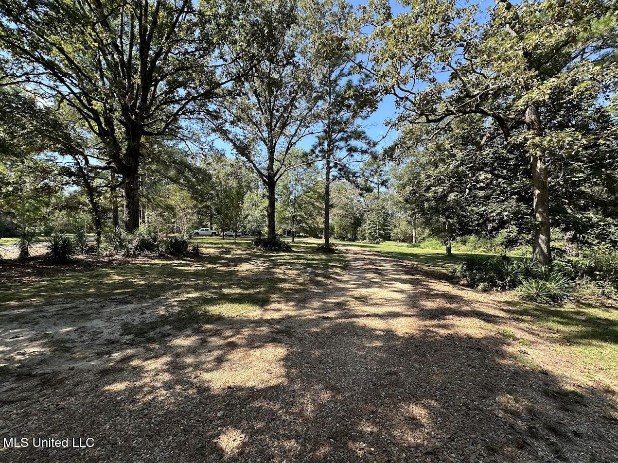 148 Kemp Road Magee, MS 39111 - Photo 49 of 49 IMG_4706