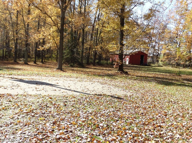 870 Webster Road Jefferson, OH 44047 - Photo 15 of 25 Barn through the trees