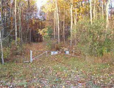 7391 Deja Road Edmore, MI 48829 - Photo 1 of 1 Primary Photo