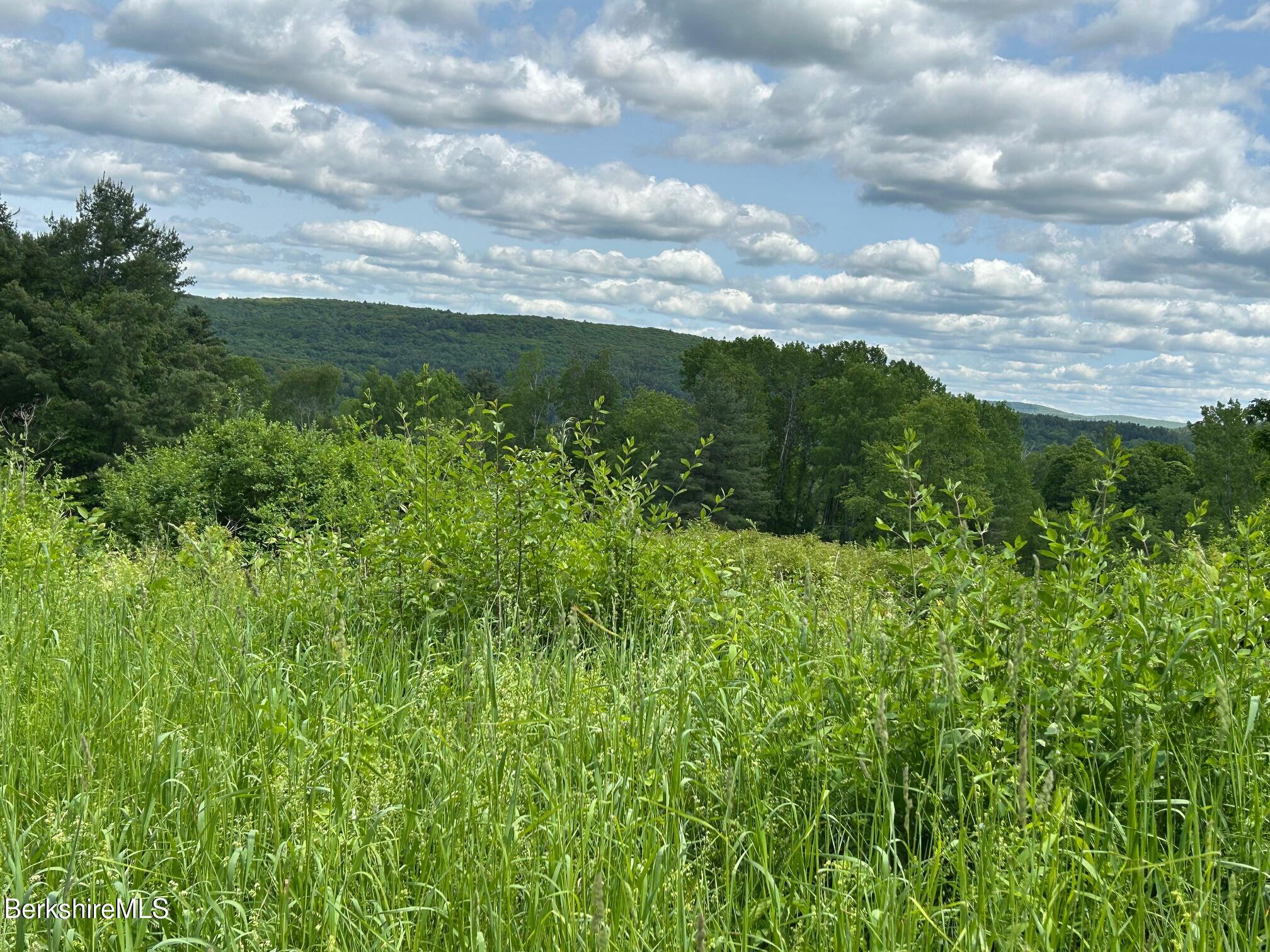 0 Brewer Branch Road Southfield, MA 01259 - Photo 4 of 13 IMG_3953