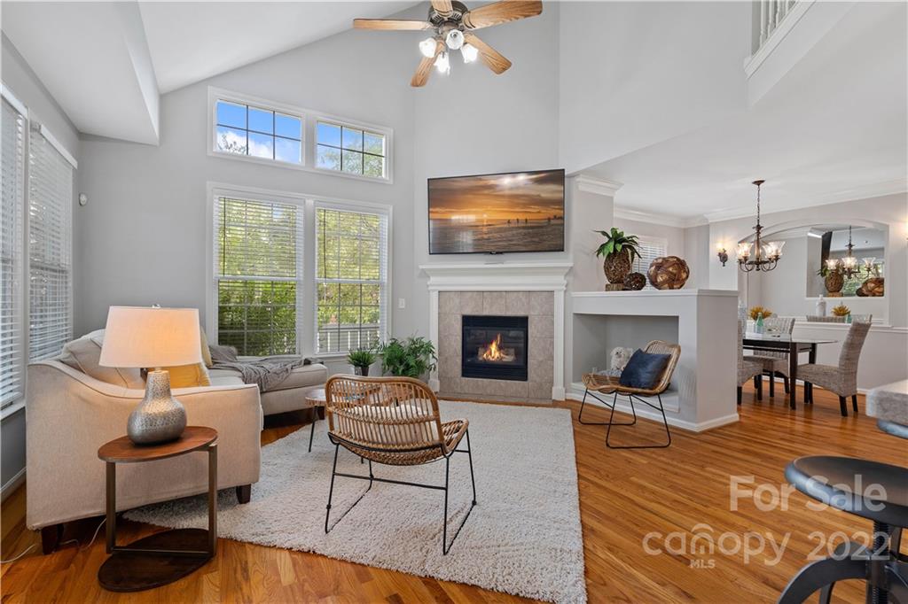 412 Third Baxter Street Fort Mill, SC 29708 - Photo 10 of 39 a living room with furniture fireplace and flat screen tv