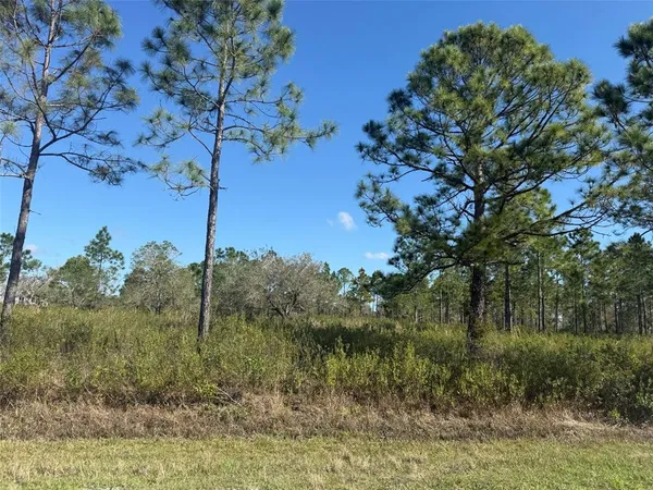 $150,000 | 15942 Northwest 312th Street, Okeechobee, FL 34972