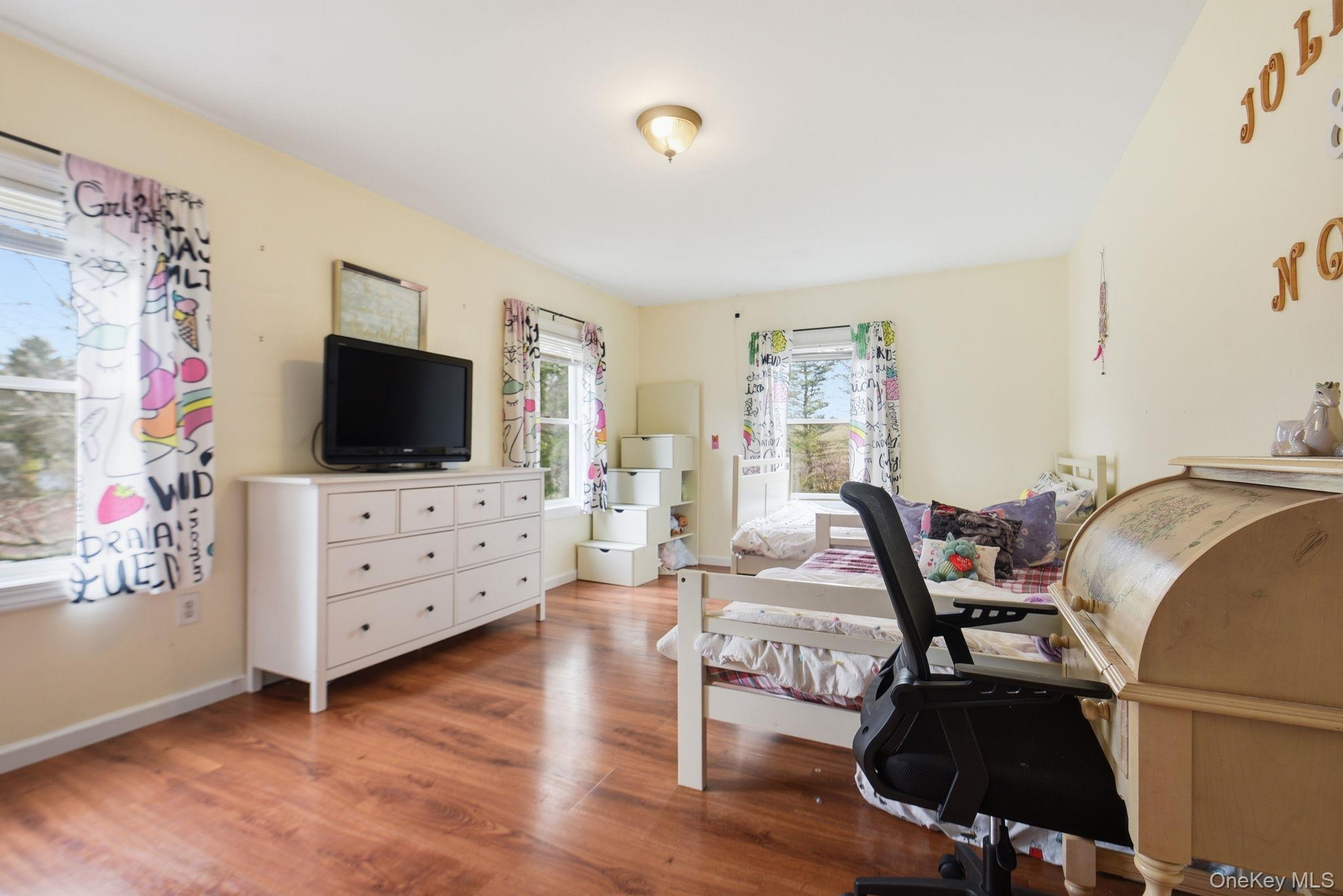 41 Beilke Road Millerton, NY 12546 - Photo 24 of 26 a view of a livingroom with furniture and a flat screen tv