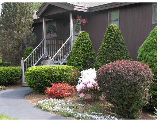 406 Boston Road Groton, MA 01450 - Photo 11 of 13 a view of a house with a yard and potted plants