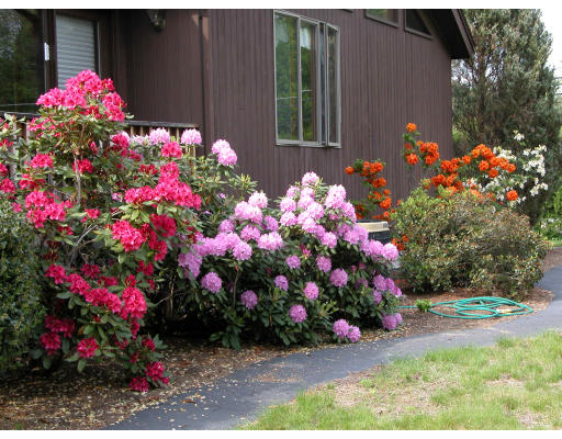 406 Boston Road Groton, MA 01450 - Photo 8 of 13 a view of yard with flowers