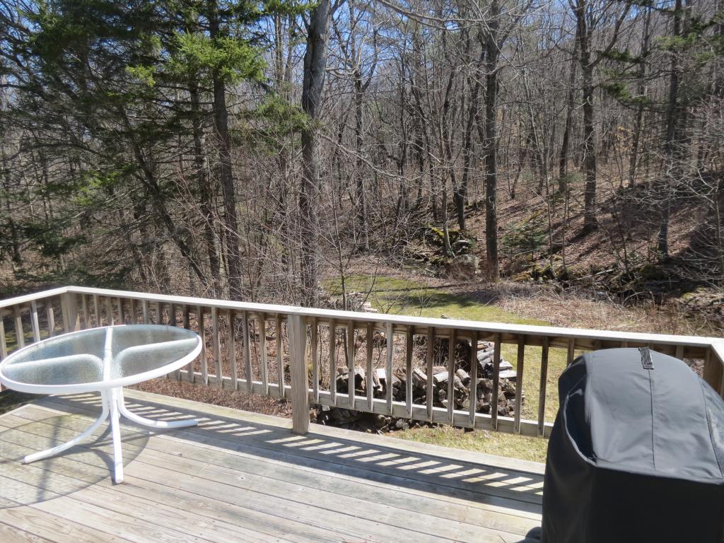 123 Station Road Mount Holly, VT 05758 - Photo 28 of 36