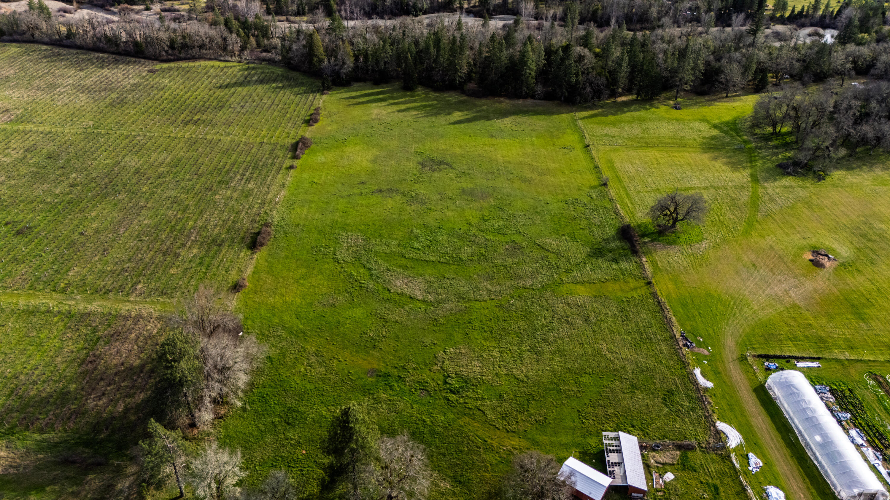 5395 Deer Creek Road Selma, OR 97538 - Photo 35 of 43 5395drone (14)