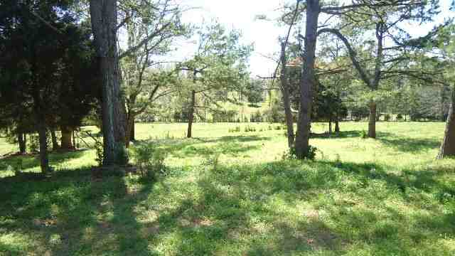 231 West Halfway Branch Road Walhalla, SC 29691 - Photo 12 of 22 Gallery Image 12