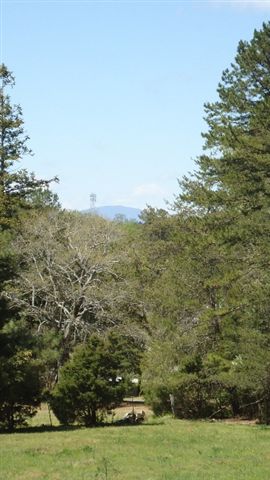 231 West Halfway Branch Road Walhalla, SC 29691 - Photo 9 of 22 Gallery Image 9