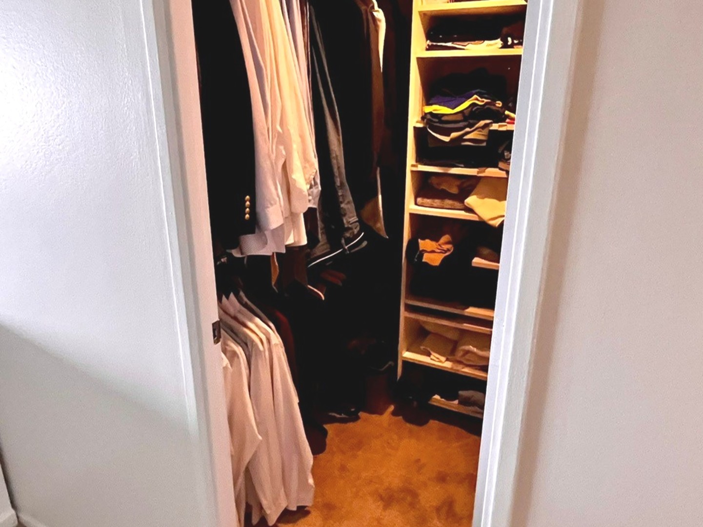 175 East Delaware Place, Unit 4603 Chicago, IL 60611 - Photo 15 of 17 a view of walk in closet