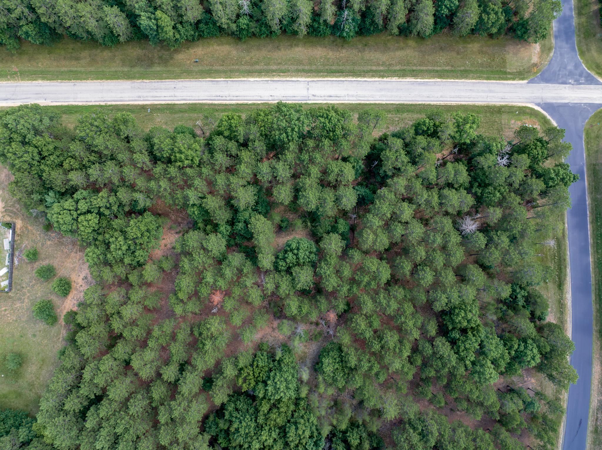 Lot 23 Dover Friendship, WI 53934 - Photo 2 of 15